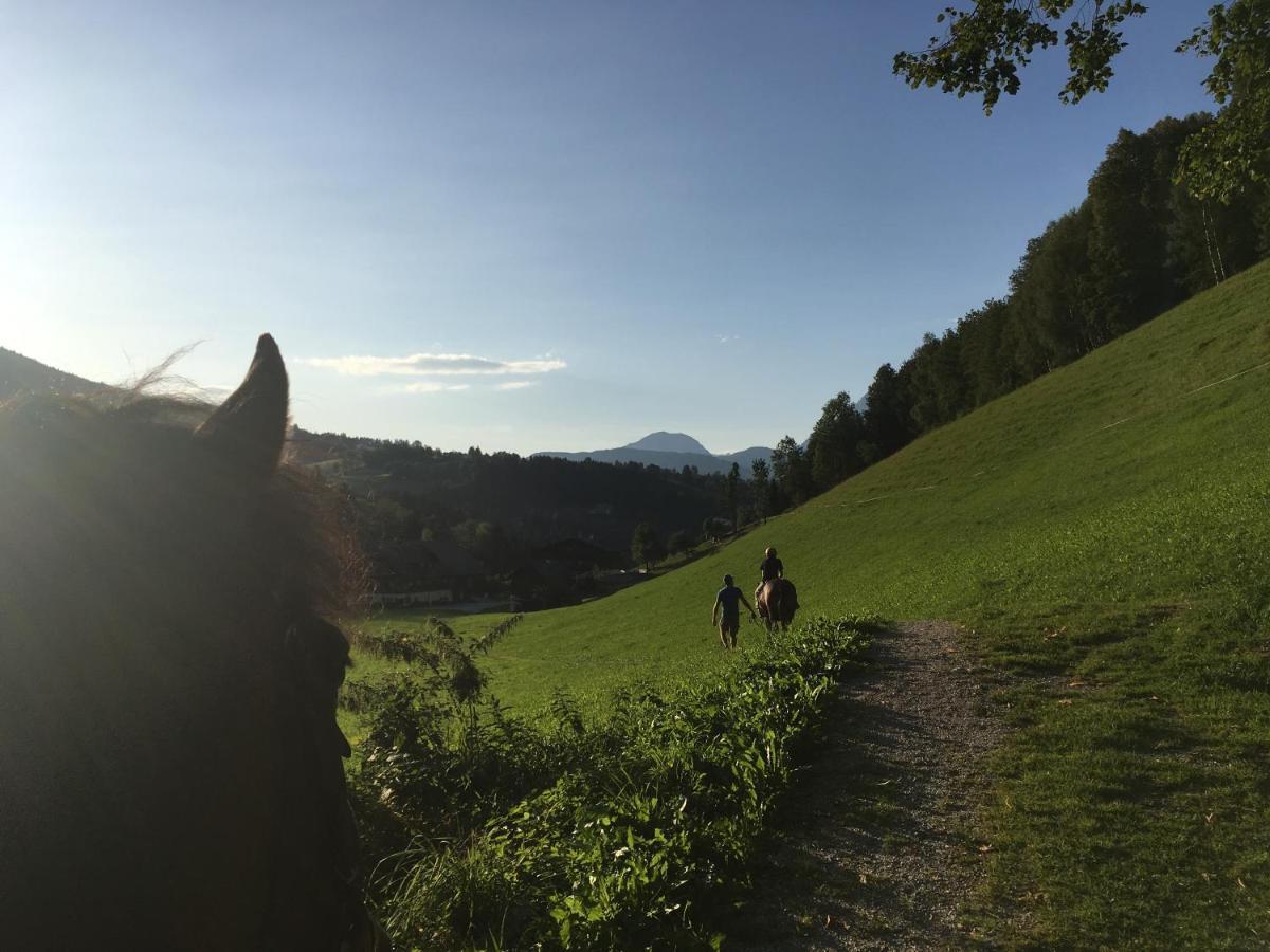 Ahlhof Villa Schladming Eksteriør bilde