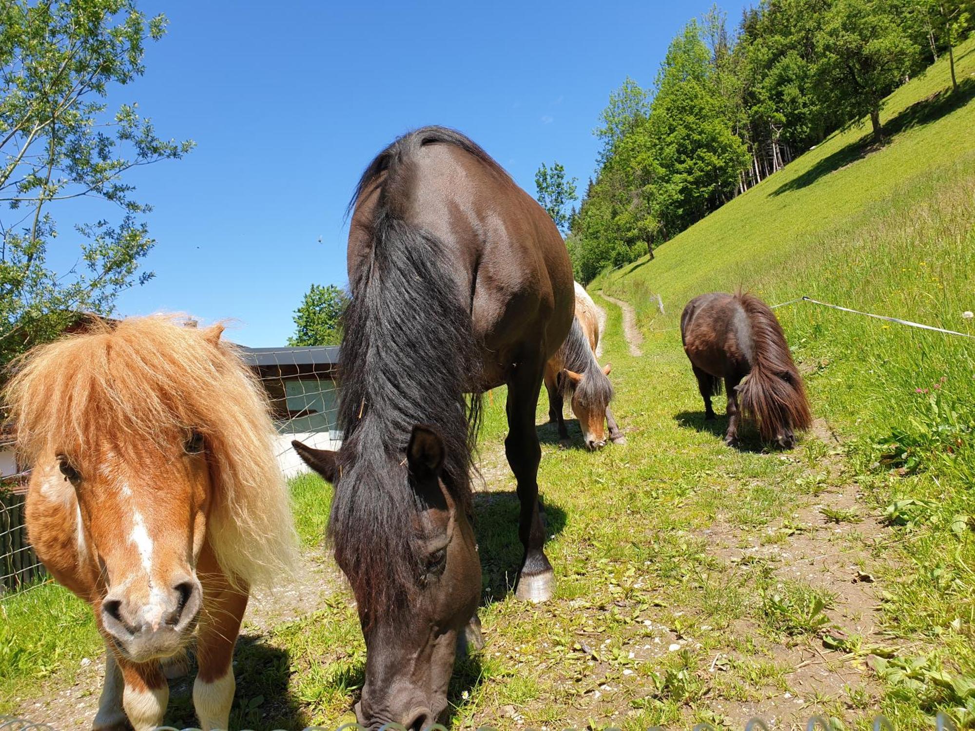 Ahlhof Villa Schladming Eksteriør bilde